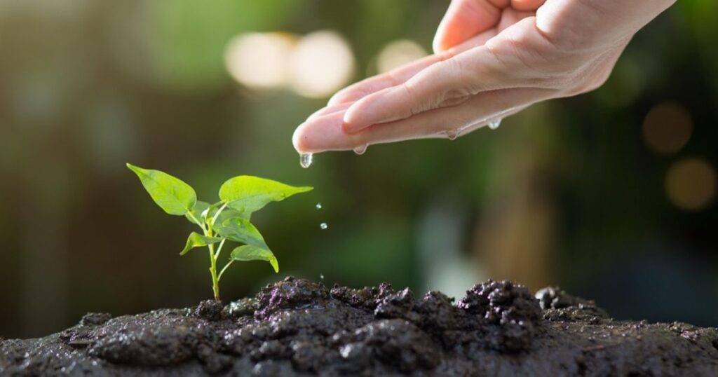 Preventing Soil Erosion