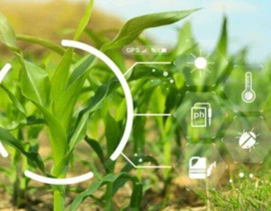 Protecting Crops with AI Smart AI Pest Control for Better Yields