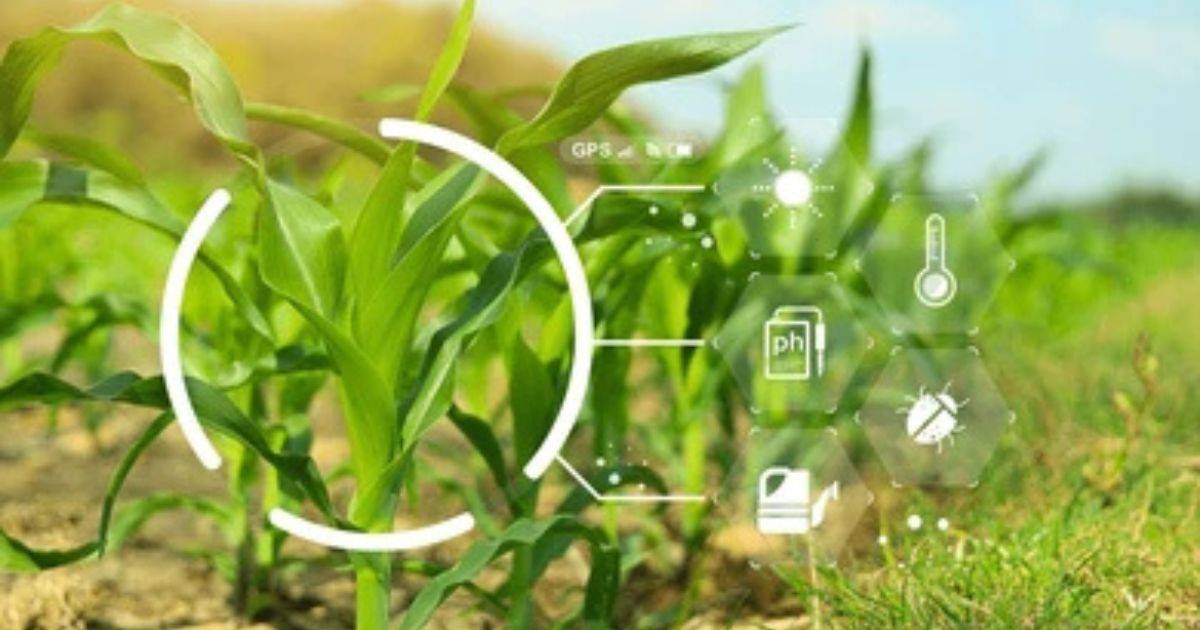 Protecting Crops with AI Smart AI Pest Control for Better Yields