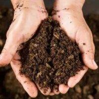 Soil Health Practices