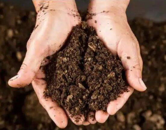 Soil Health Practices