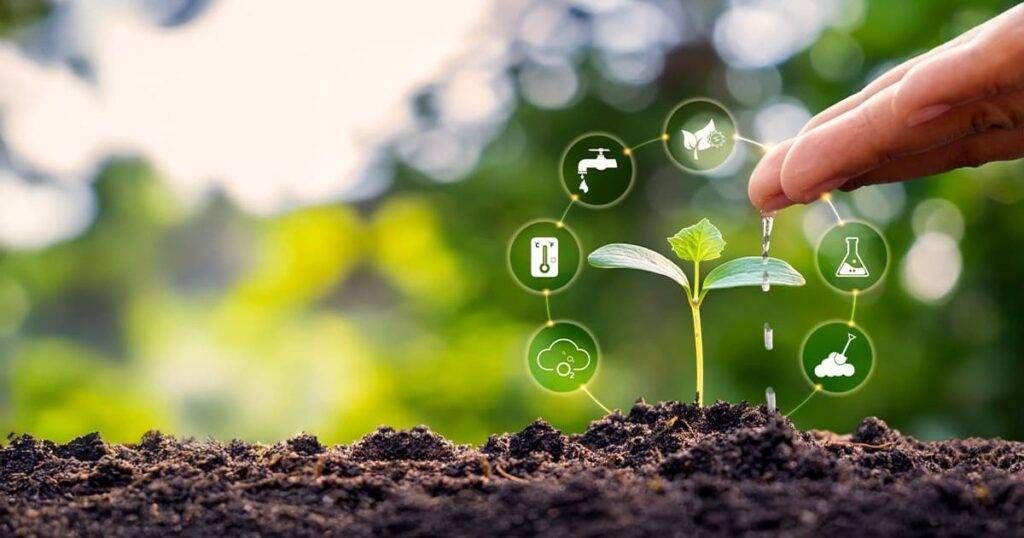 The Core Principles of Regenerative Agriculture