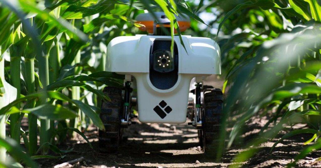 The Future of AI in Pest Control