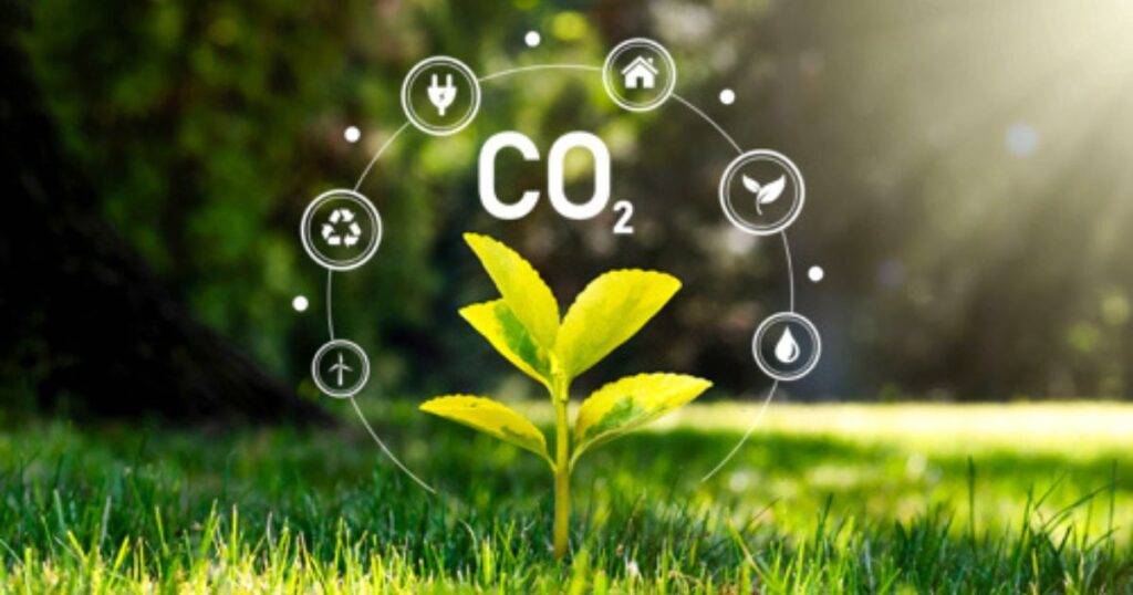 The Relationship Between Carbon and Soil Moisture