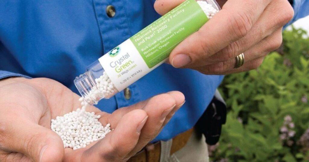 Controlled-Release Fertilizer Manufacturers