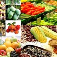 Can Biologicals Help You Get the Next Yield Bump