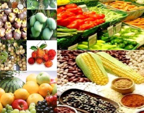 Can Biologicals Help You Get the Next Yield Bump