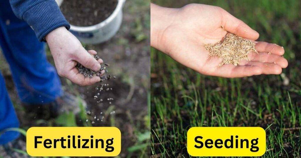 Fertilizer Application Timing