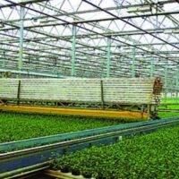 greenhouse farming business plan