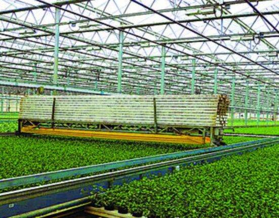 greenhouse farming business plan
