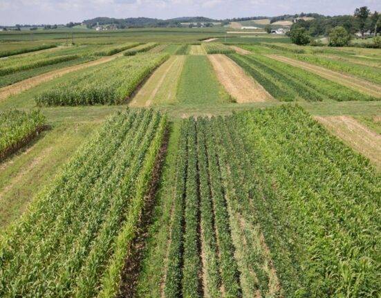 Biologicals in Crop Rotation