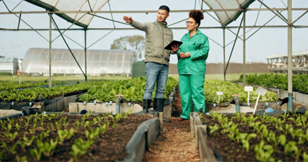 greenhouse farming business plan