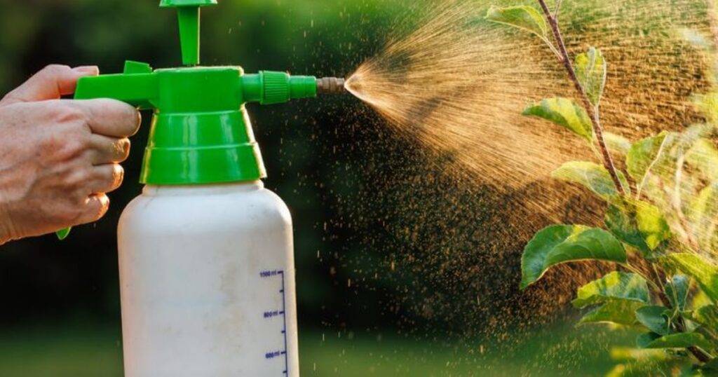 Fungicide Timing Tool