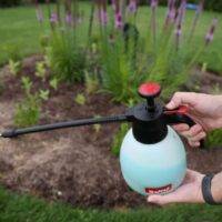 Fungicide Timing Tool