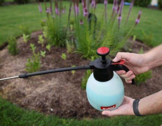 Fungicide Timing Tool