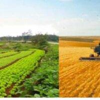 Conventional vs Sustainable Farming