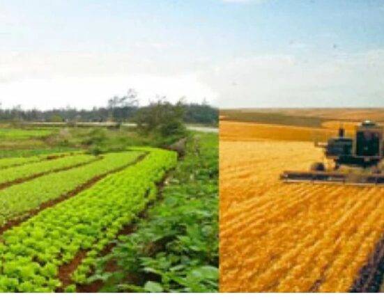Conventional vs Sustainable Farming