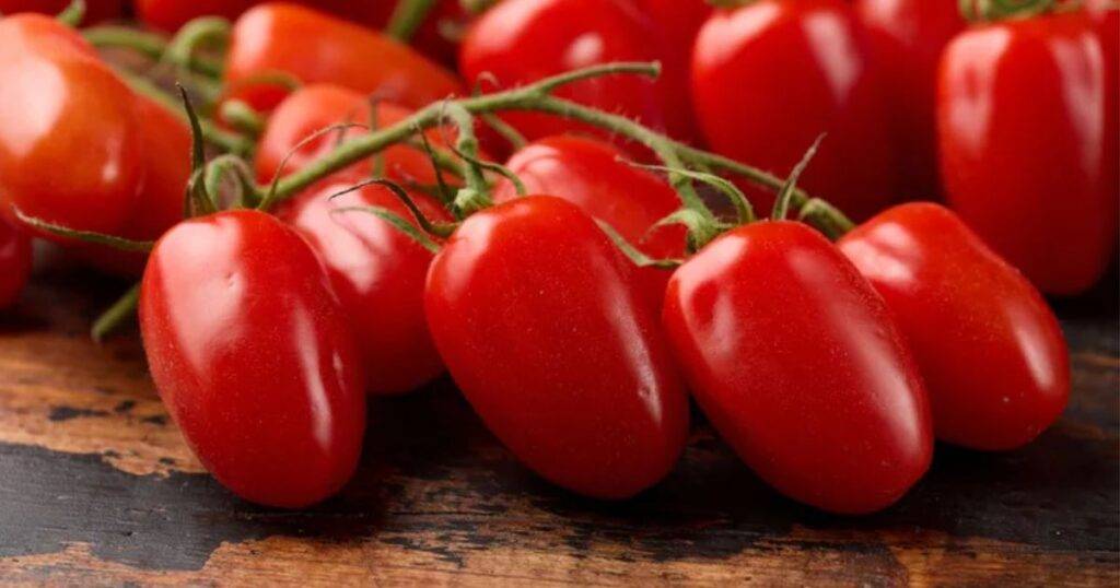 best crops to grow for money