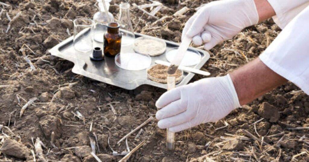 Why Soil Testing Is Important