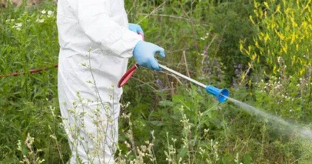 Common Herbicide-Resistant Weeds