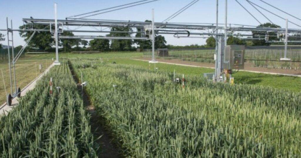 Harvest Data Optimization