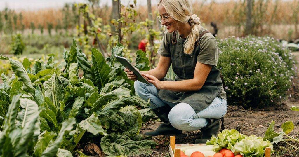 Harvest Data Optimization