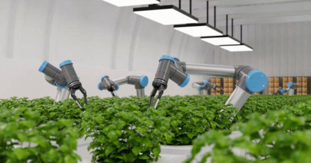 Harvest Data Optimization